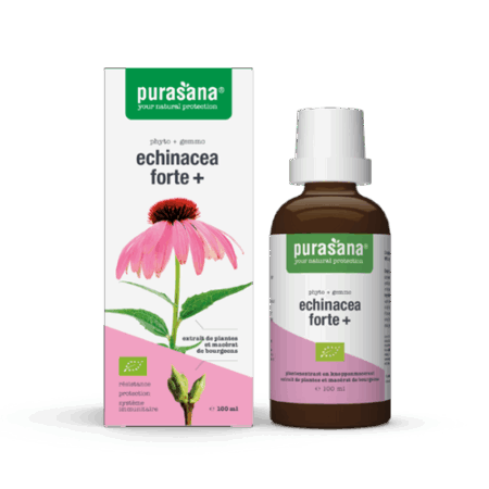Echinacea Forte + 100ml