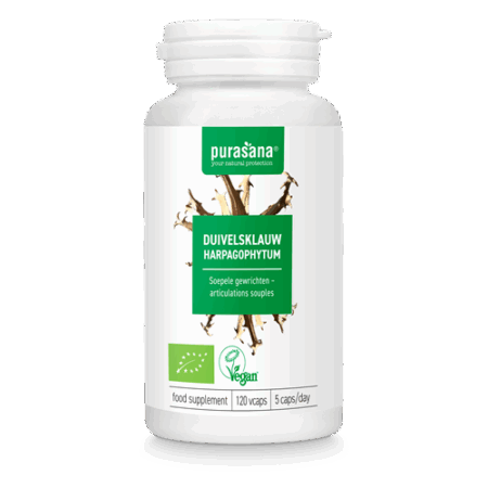 Griffe du diable (Harpagophytum)