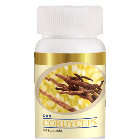 DXN Cordyceps Capsules