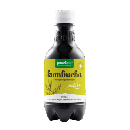 Kombucha matcha