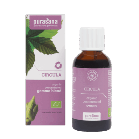 Puragem Circula Purasana